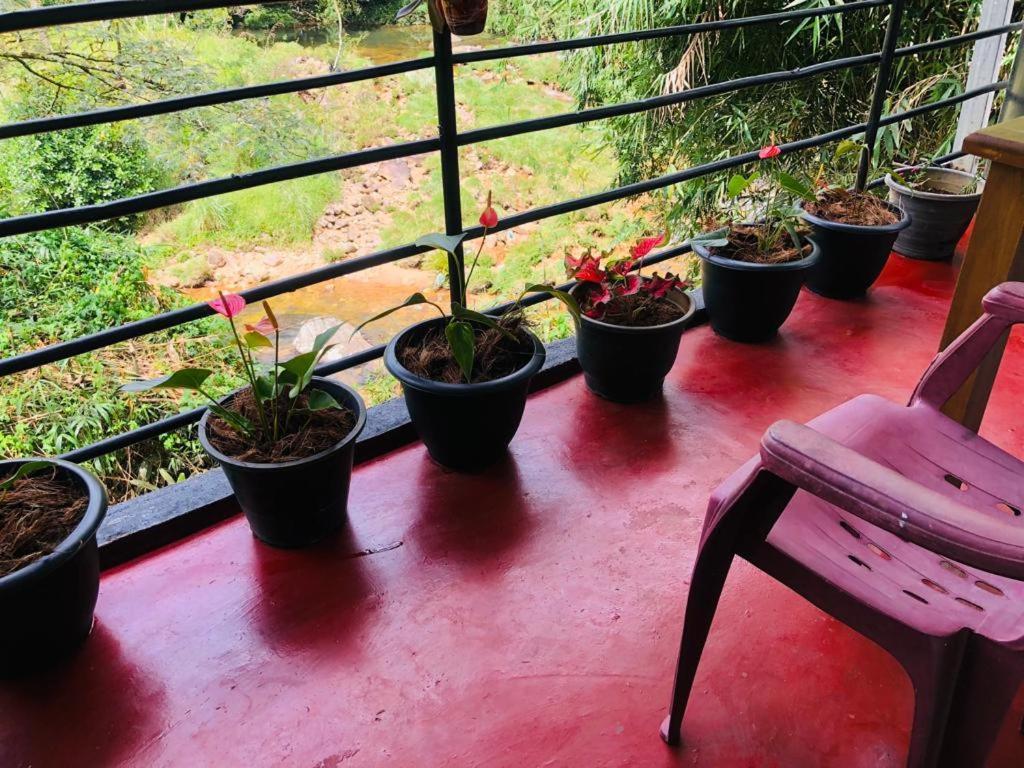 מלון נלת'אניה Vegetable Garden House מראה חיצוני תמונה