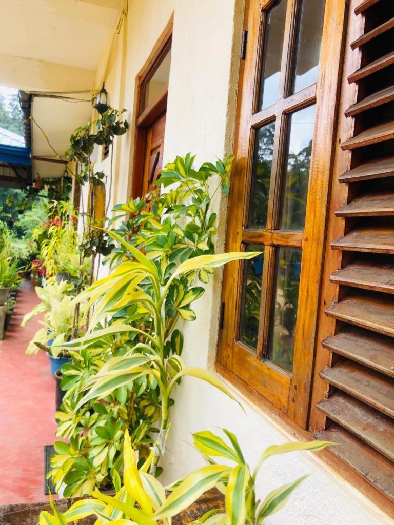 מלון נלת'אניה Vegetable Garden House מראה חיצוני תמונה